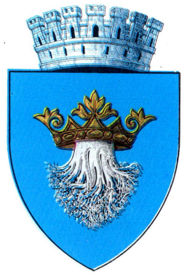 Brașov coat of arms